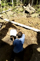 Men dig deep hole in Indonesian woods early morning