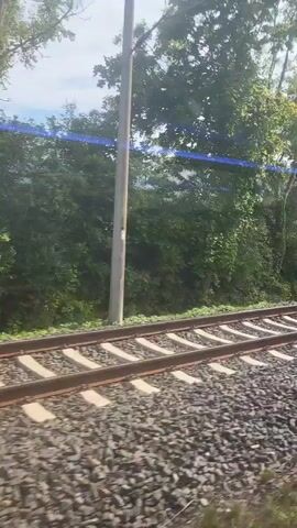 The video shows a view from a moving train looking out the window at the passing scenery. Train tracks run parallel to the direction of travel, with a gravel bed and wooden sleepers visible. The surrounding environment is lush and green, with trees and bushes lining the tracks. The sky is partly cloudy. There are no people or specific objects clearly visible in the frames other than the train tracks and vegetation. The camera perspective suggests the video was shot from the side of the train, possibly from a window seat. There are some light flares or lens reflections appearing in the video, particularly on the left side of the frame.