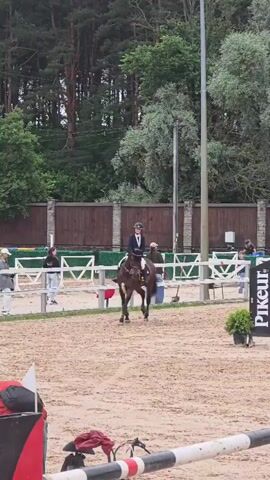 The video shows a horseback rider in a show jumping competition. The rider is on a dark brown horse and is approaching a jump. The horse is wearing a bridle and saddle, and the rider is wearing a helmet and riding attire. The competition is taking place in an outdoor arena with a sand surface. There are fences and other jumps set up around the arena. In the background, there are spectators and trees. The rider is in the process of jumping over a low white and red obstacle.