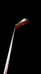 Bulgarian flag flies illuminated at night in Yambol