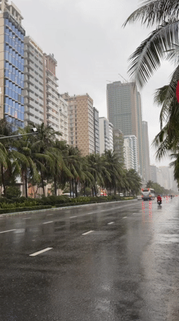 Rainy morning on Đà Nẵng's palm-lined beachside road