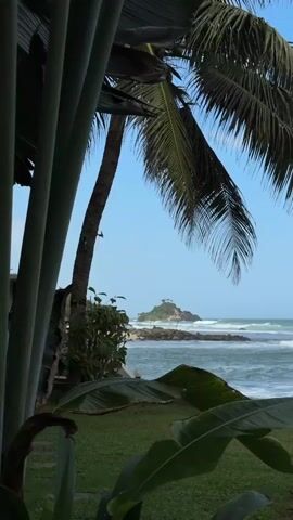The video captures a serene tropical landscape with a focus on lush greenery and a distant island. In the foreground, large green palm fronds dominate the left side of the frame, creating a sense of depth and framing the scene. To the right, a palm tree trunk and its fronds are visible against a clear blue sky. Below the palm tree, a neatly manicured green lawn stretches towards the ocean. The middle ground reveals a rocky coastline with waves gently crashing onto the shore. In the distance, a small, verdant island with a structure on top stands against the horizon, surrounded by the vast expanse of the ocean. The water appears a deep blue with whitecaps, suggesting a mild breeze. The overall atmosphere is peaceful and idyllic, characteristic of a tropical paradise.