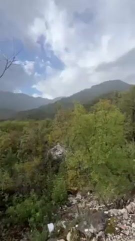 The video shows a mountainous landscape with lush greenery under a cloudy sky.  In the foreground, there's a bare tree branch and rocky terrain with vegetation.  The mountains in the distance are shrouded in mist.  The overall impression is of a rugged and verdant environment.