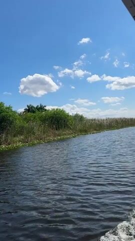 The video shows a waterway with green vegetation on the bank under a blue sky with puffy white clouds. The water is dark and has ripples. The shot is taken from a moving boat, indicated by the boat's wake. The camera remains steady throughout the clip.