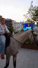 Evening street life documented across central Moscow districts