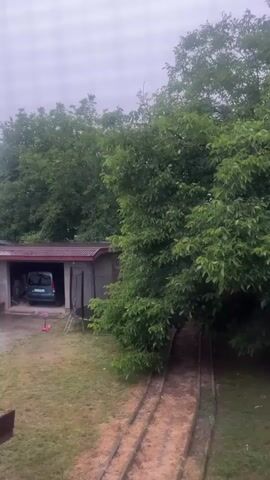 The video shows an outdoor scene with a garage on the left and a large tree on the right. The garage has a red roof and a dark colored opening. Inside the garage, a blue car is parked and a pink scooter is visible outside. The ground in front of the garage is covered with grass. To the right of the garage, a wooden structure with two parallel tracks runs down a slight incline, disappearing under the dense foliage of the tree. The sky appears overcast. The overall impression is of a backyard or a rural area.