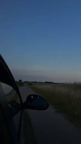 A static shot from inside a moving car captures the passenger side window and mirror. The car travels along a narrow, paved road flanked by a field of tall, dry grass on the right. The sky overhead transitions from deep blue to lighter blue and subtle pink near the distant horizon, where sparse trees are visible. The perspective shifts slightly, focusing more on the passing field of grass in the latter part of the video.