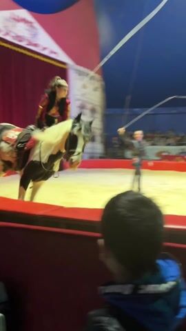 A low-angle perspective captures a circus performance, inside a tent with a crowd visible. A piebald horse is led around a ring, by a woman on horseback who is dressed in a red and black jacket. A second woman, dressed in a black jacket and pants, stands in the ring with a white rope. The video ends with the woman on horseback riding towards the camera. A child in a blue jacket is in the foreground.