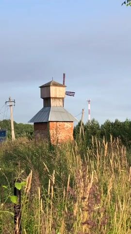 The video shows an old brick windmill with a wooden cap and sails. The windmill is surrounded by tall, dry grass and green trees. In the background, there is a tall, red and white radio tower and telephone poles. The sky is a clear blue with some light clouds. The sun appears to be setting, casting a warm glow on the scene. The windmill's sails are turning slowly, indicating a gentle breeze.
