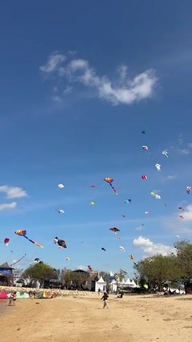 Bali kite festival fills the beach with elaborate designs