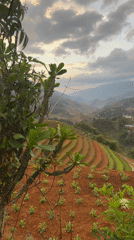 Rural Vietnam daily life documented in mountain villages