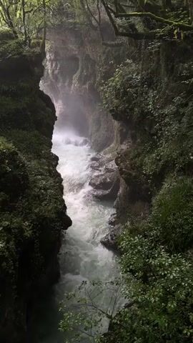 A serene video of a flowing river through a lush forest. The river is a bright, frothy white as it rushes over rocks, creating a misty effect at the point where it enters a narrow gorge. The gorge walls are steep and covered in vibrant green moss and vegetation. Sunlight filters through the dense canopy of trees, casting a soft glow on the scene. The overall atmosphere is peaceful and natural, evoking a sense of untouched wilderness.