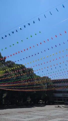 The video shows a wide outdoor courtyard paved with cobblestones. In the background, there are trees and a building with a white facade and a red roof. The sky is clear and blue. Multiple strings of colorful pinwheels are stretched across the courtyard, creating a festive atmosphere. The pinwheels are arranged in diagonal rows, starting from the upper left of the frame and extending downwards to the right, with the closest strings hanging lower over the courtyard.