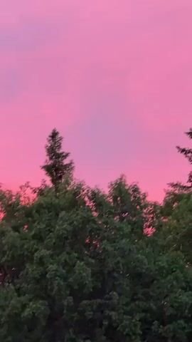 The video shows a time-lapse of a sunset. The sky transitions from pink to a deep red. Trees are visible in the foreground, silhouetted against the colorful sky. The time of day is evening, as indicated by the sunset. There are no people or specific actions depicted in the video. The environment appears to be natural, with trees forming a natural landscape.