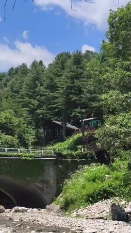 The video shows a rustic cabin or a couple of cabins nestled in a densely wooded area with tall pine trees. A concrete bridge with a white railing arches over a dry creek bed filled with stones and a small stream. Green foliage and vines cover the side of the bridge and the surrounding area. The cabins are visible behind the bridge and on the slope of the hill, with a porch or deck area visible. The sky is blue with a few white clouds. The sound of a car or truck is heard in the background. The overall scene depicts a natural, tranquil setting with a touch of human habitation.