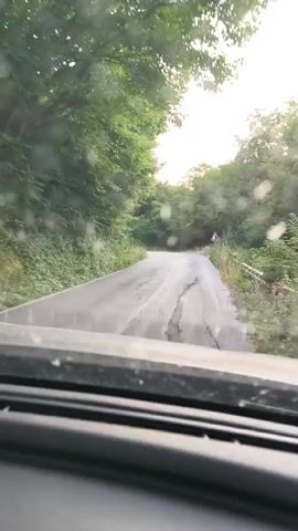 The video shows a view from inside a vehicle driving on a paved road that appears to be in a rural or wooded area. The road is winding and has visible cracks and wear. Dense green trees and foliage line both sides of the road, creating a natural tunnel effect. Sunlight filters through the leaves, creating a dappled light effect. There are several traffic signs visible along the side of the road, including warning signs indicating curves. The windshield has several water droplets or smudges on it, obscuring the view slightly. The dashboard and the interior of the vehicle are visible at the bottom of the frame.