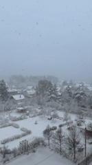 Heavy snowfall blankets residential area, reduces visibility