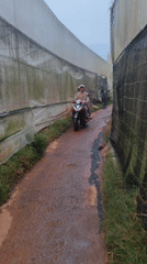 Morning life documented in Da Lat farming district