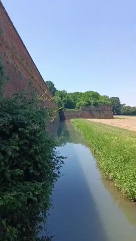 The video shows a long, narrow body of water, presumably a moat, with still, reflective water. On the left side, a high brick wall runs along the length of the moat, partially obscured by a leafy green bush in the foreground. On the right side, there's a grassy bank and a field of harvested crops. In the distance, a section of the brick wall juts out into the field, and behind it, a cluster of trees is visible. The sky is clear and blue, indicating a bright, sunny day.