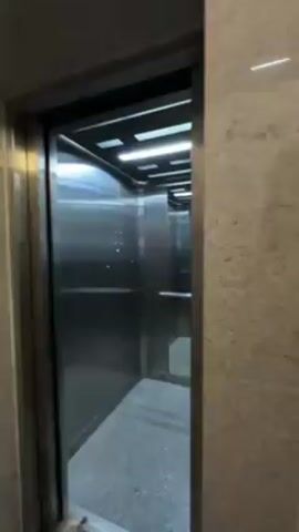 A woman in a white outfit stands in an elevator with a small white dog on a leash. The elevator interior is stainless steel with a patterned floor and bright overhead lighting. The woman is taking a selfie with her phone. There is a handrail on the back wall and a surveillance camera sign on the upper right. The elevator doors are closing.