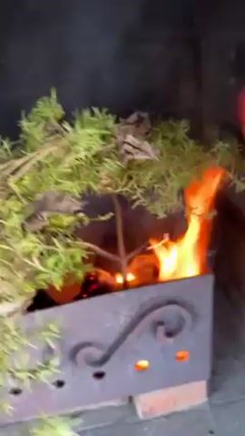 The video shows a fire in a metal container inside a brick structure. The fire is burning wood and foliage, including what appears to be rosemary. The person in the video uses a piece of rosemary to fan the flames. The container is dark colored, and has an ornate design on the side. The brick structure behind the container looks like a fireplace or oven. There is smoke rising from the burning material.