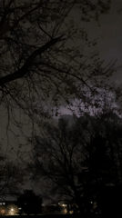 Lightning storm illuminates night sky over Naperville, Illinois