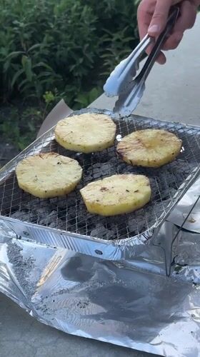 Amsterdam resident grills burgers and pineapple in communal garden
