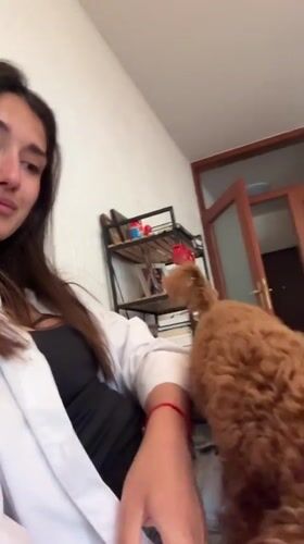 Woman and small dog share quiet moment in Sutomore