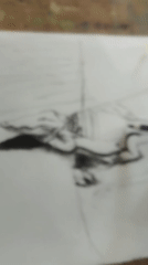 Charcoal and pencil sketches of reptiles taking shape on paper