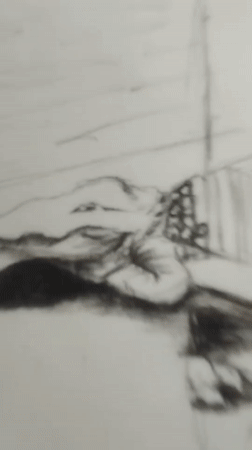 Charcoal and pencil sketches of reptiles taking shape on paper