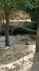 Flooding river carries debris through Chuy, Kyrgyzstan