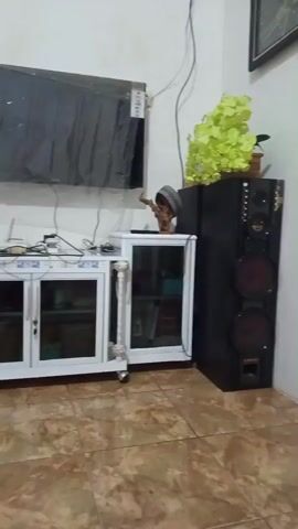 A television is mounted on a white wall above a white entertainment center with glass doors. To the right of the entertainment center is a tall black speaker with two large red speakers. On top of the speaker is a light green artificial plant. To the right of the television and above the speaker, a small figurine of a person with a hat is visible. Various electronic devices and cables are on top of the entertainment center. The floor is tiled with a brown and beige pattern. Two framed pictures hang on the wall to the right of the television, and one framed picture hangs higher on the wall to the left of the television.