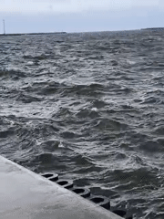 Ventspils waterfront: buoys, love locks, and nautical art