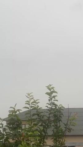 The video shows a foggy or misty outdoor scene with what appears to be a light rain or precipitation. In the foreground, there are green leafy branches of trees. In the background, partially obscured by the fog, are the roofs of houses. The sky is a uniform light gray.