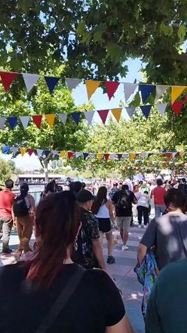 A crowd of people walks along a path lined with green trees and decorated with colorful triangular flags strung overhead. The scene is outdoors on a sunny day. The people are diverse, dressed in casual clothing. Some are walking, while others appear to be sitting or standing on the sides of the path. The focus is on the backs of the people as they move further into the crowd.
