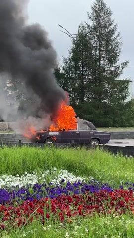 A dark purple car is engulfed in flames on a street. Black smoke billows from the burning vehicle. A person wearing firefighting gear is approaching the car from the right, holding a hose. In the foreground, there is a strip of grass with a flowerbed in front of it. The flowers are a mix of red, purple, and white. Behind the car, there are trees and a building. The sky is overcast. The person in the firefighting gear is walking towards the burning car with a hose. The car appears to be parked on the side of the road. The flames are intense and coming from the driver's side of the car, particularly the front.