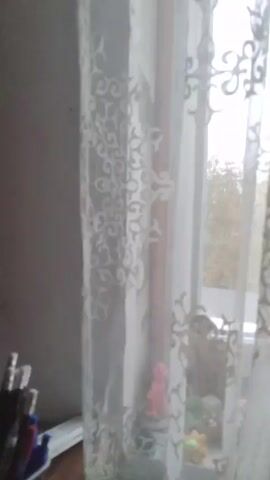 The camera pans across a window with patterned sheer curtains. The window is slightly ajar. Outside, the sky is overcast. Some houses and trees are visible in the distance. A bottle of spray cleaner sits on the windowsill.