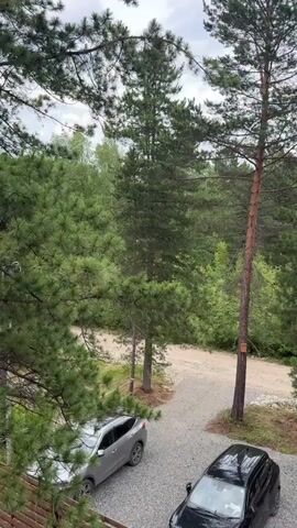 The video shows an overhead view of a gravel driveway with two cars. The car on the left is a silver SUV, and the car on the right is a black hatchback. A wooden pathway leads from the driveway into a wooded area with tall pine trees and other greenery. A small birdhouse is attached to one of the pine trees. The sky is cloudy.