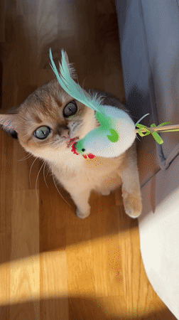 Personal moments documented across Montenegro locations include meal, selfie, mug