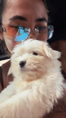 Woman cuddles white puppy in car in Dalung