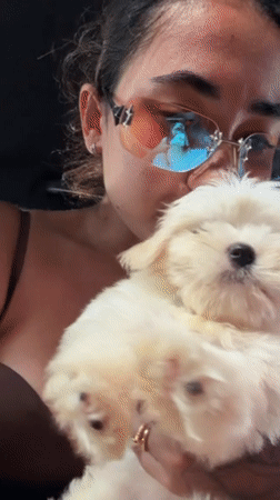 Woman cuddles white puppy in car in Dalung