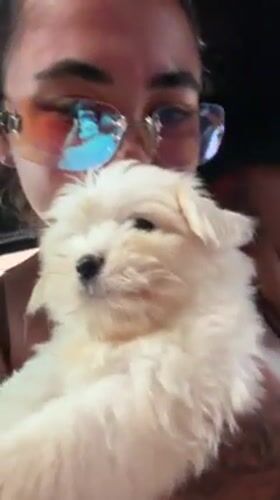 Woman cuddles white puppy in car in Dalung