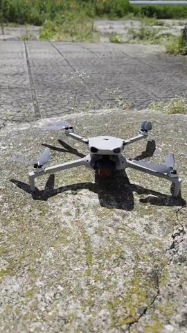 The video shows a gray DJI Mini 3 drone sitting on top of a gray, lichen-covered rock. The drone’s camera is facing forward. In the background is a light gray concrete sidewalk made of square tiles, as well as green grass and red flowers in the distance. The drone begins to power up its propellers, which start spinning faster.