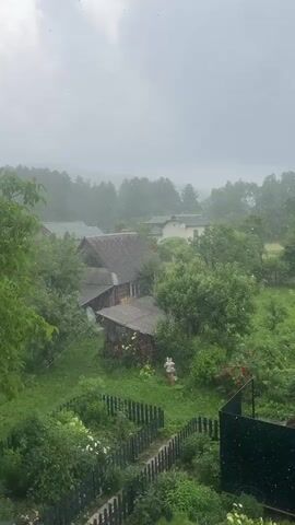 The video shows an aerial view of a rural scene during a rain shower. In the foreground, lush green foliage with a small wooden fence suggests a garden. The middle ground features several houses with pitched roofs, surrounded by trees and vegetation. The houses appear to be made of wood and possibly stone. The background shows a dense forest on rolling hills, shrouded in mist or rain. The sky is overcast, contributing to the dim, diffused light of the scene. Small white specks, presumably raindrops, are visible throughout the frame, indicating active precipitation. There are no people visible in the video. The overall impression is one of a tranquil, somewhat isolated countryside setting experiencing a downpour.