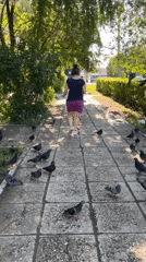 Pigeons and pedestrians on a Tolyatti park path