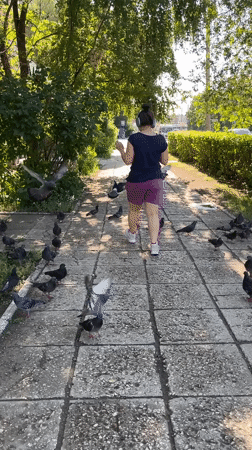 Pigeons and pedestrians on a Tolyatti park path