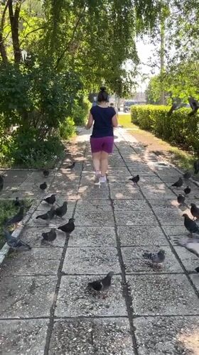 Pigeons and pedestrians on a Tolyatti park path