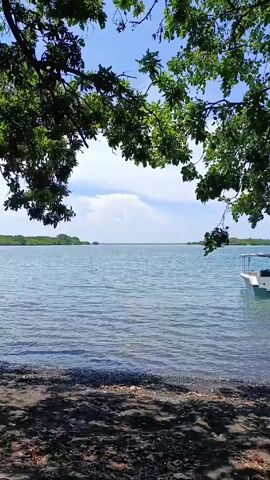 The video shows a body of water, possibly an ocean, from a slightly elevated perspective through the branches of a tree. The water is light blue and has small ripples. The sky is partially cloudy.  A shoreline is visible in the foreground, consisting of dark sand or pebbles. A boat is partially visible at the edge of the frame on the right. In the distance, there appears to be some vegetation or land.