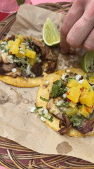 Amsterdam dining and entertainment session features tacos, cocktails, pool