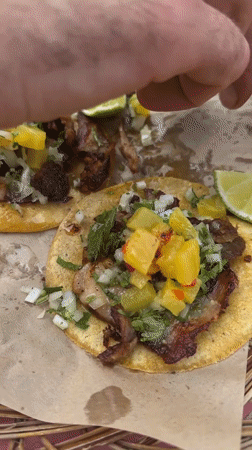 Amsterdam dining and entertainment session features tacos, cocktails, pool